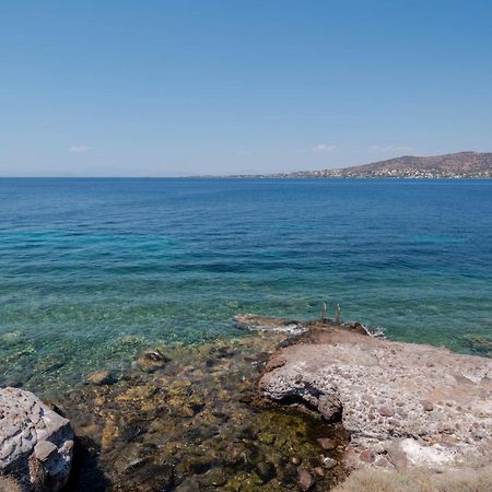 Absolute Perdika Aegina Villa Bagian luar foto