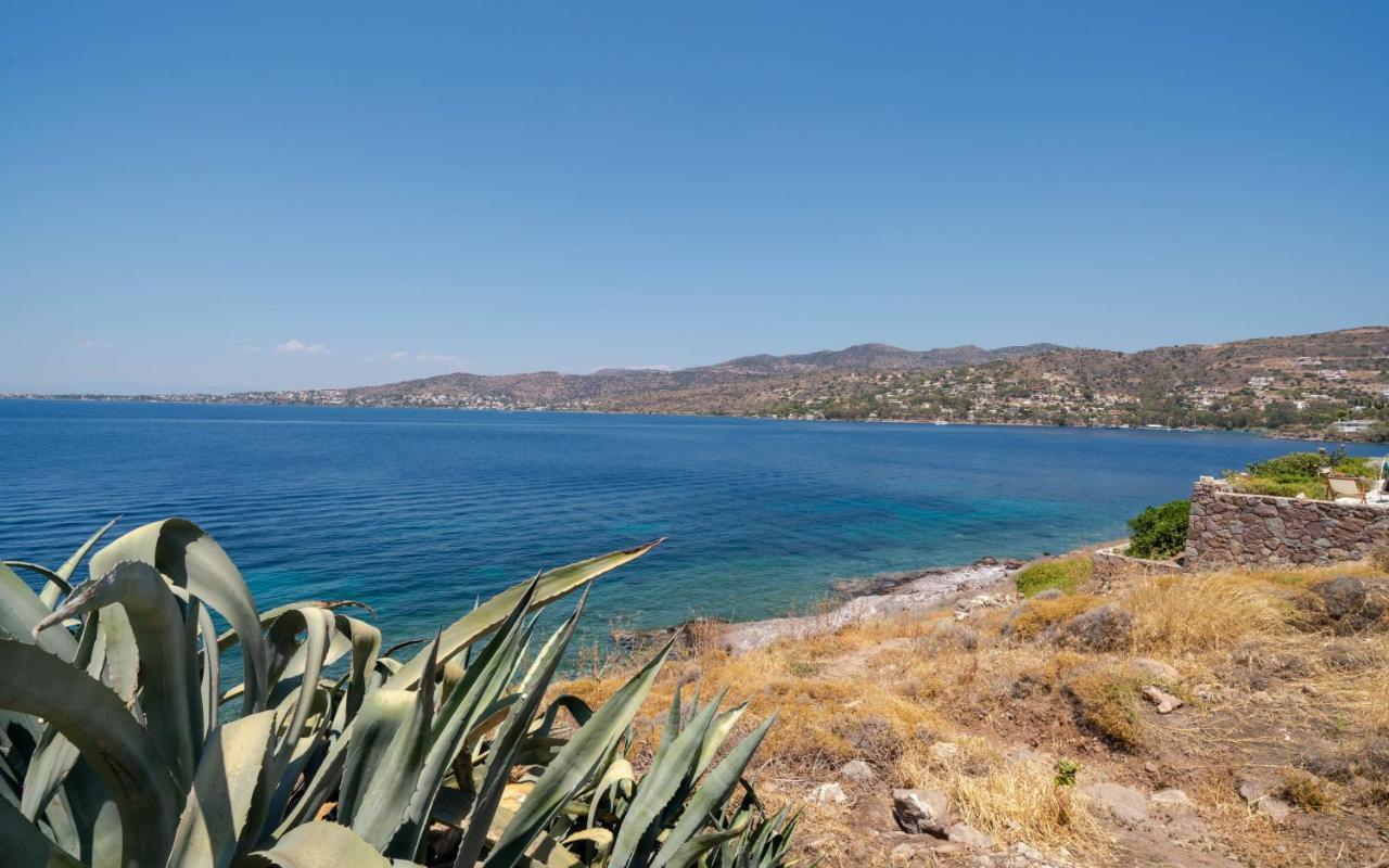 Absolute Perdika Aegina Villa Bagian luar foto
